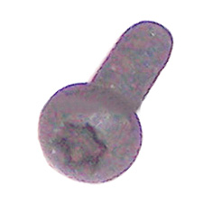 098091-10
