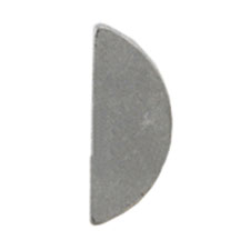 KF125161
