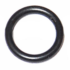 KF125295