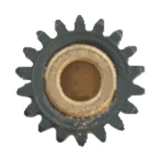 KF137281