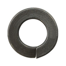 S000271