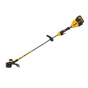 Dewalt DCST991M1-Type-1 Parts