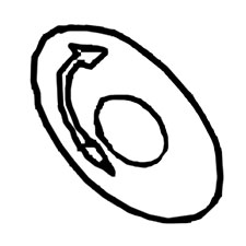 DPEC001310