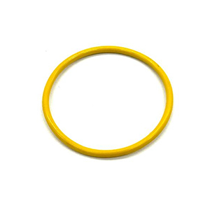 N308579